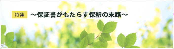 特集 ～保証書がもたらす保釈の末路～